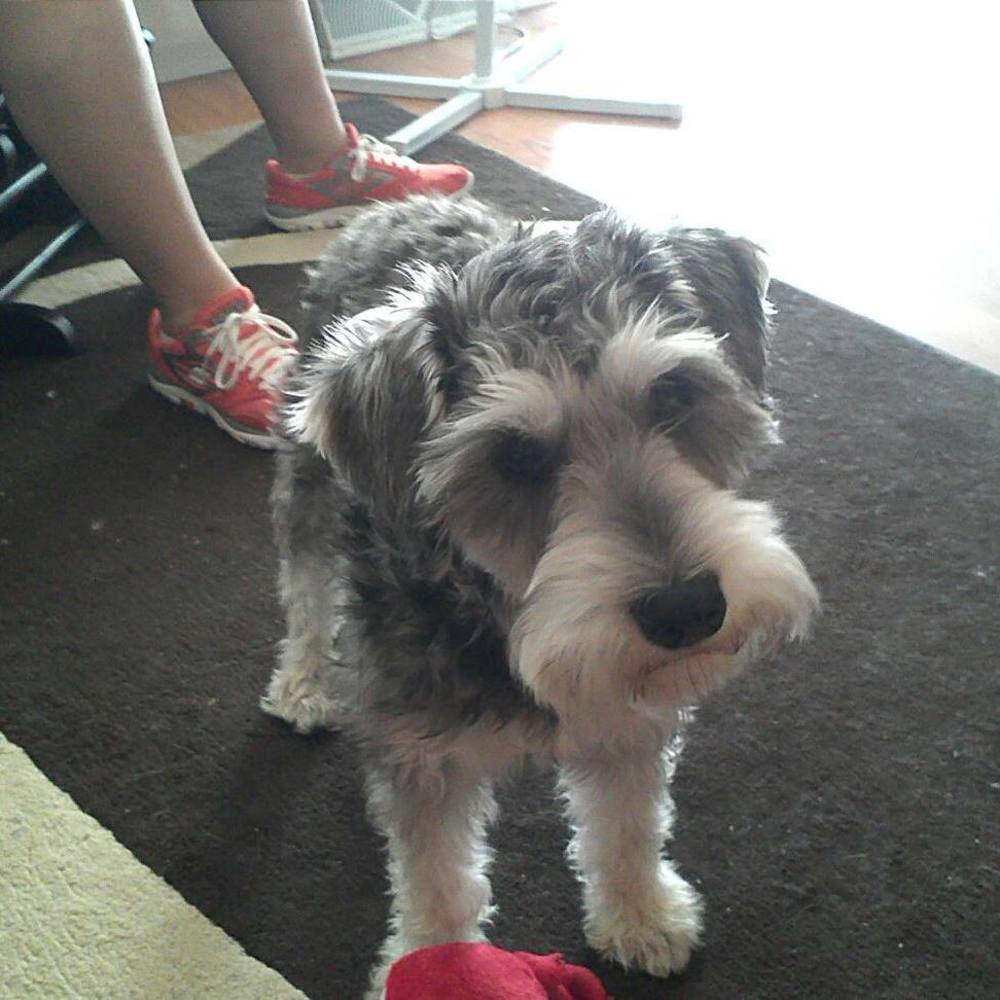 Meet your Posher, Christopher